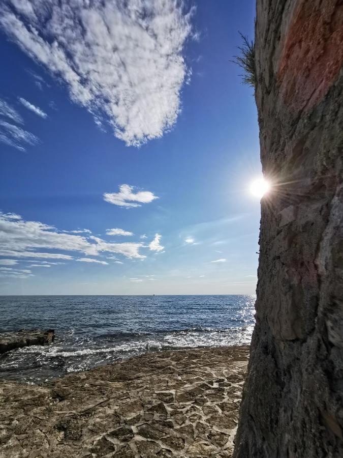Ivan B&B, 5 Star Superior Room, Near The See And Park Novigrad  Exterior photo